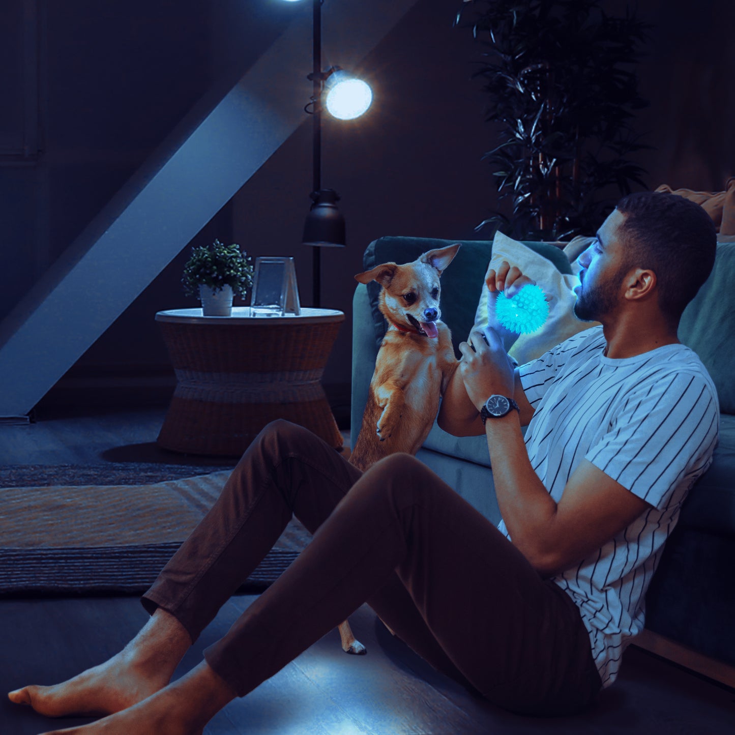 Joyx brand dog toys with light-up feature