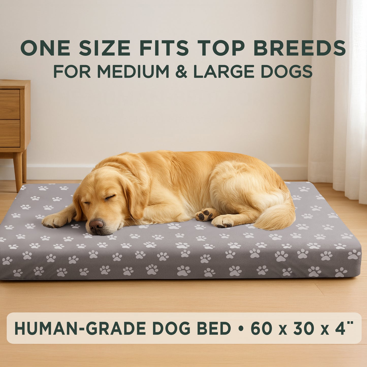 DecorX Human Dog Bed — 60” x 30” Orthopedic Mattress with 100% Cotton Fitted Sheet (Gray)