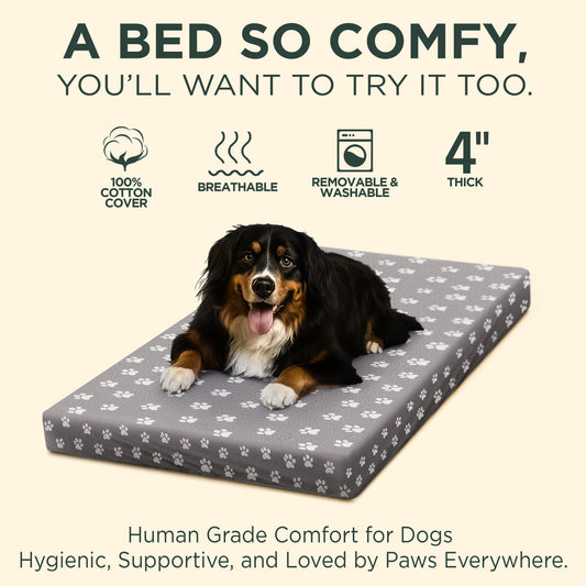 DecorX Human Dog Bed — 60” x 30” Orthopedic Mattress with 100% Cotton Fitted Sheet (Gray)