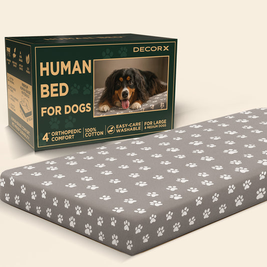 DecorX Human Dog Bed — 60” x 30” Orthopedic Mattress with 100% Cotton Fitted Sheet (Gray)
