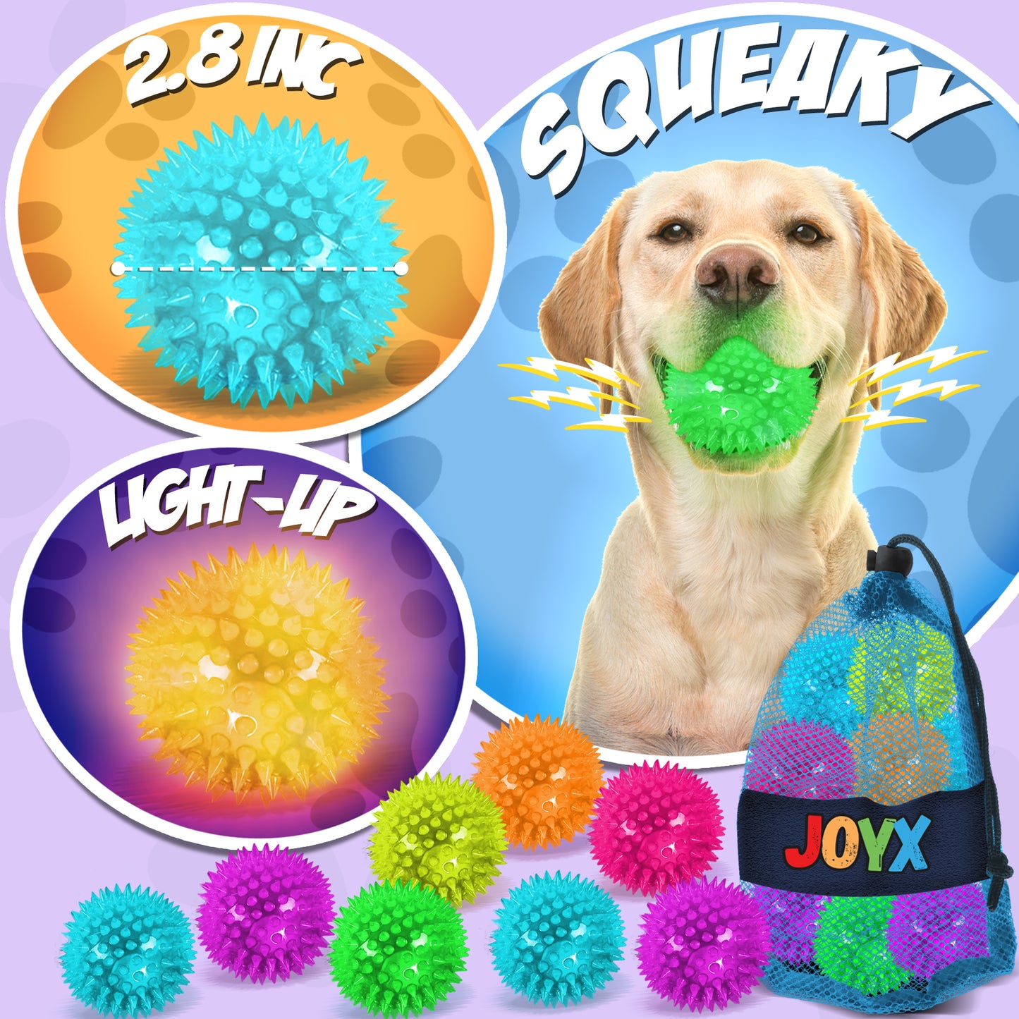 Dog toys that light up in various colors